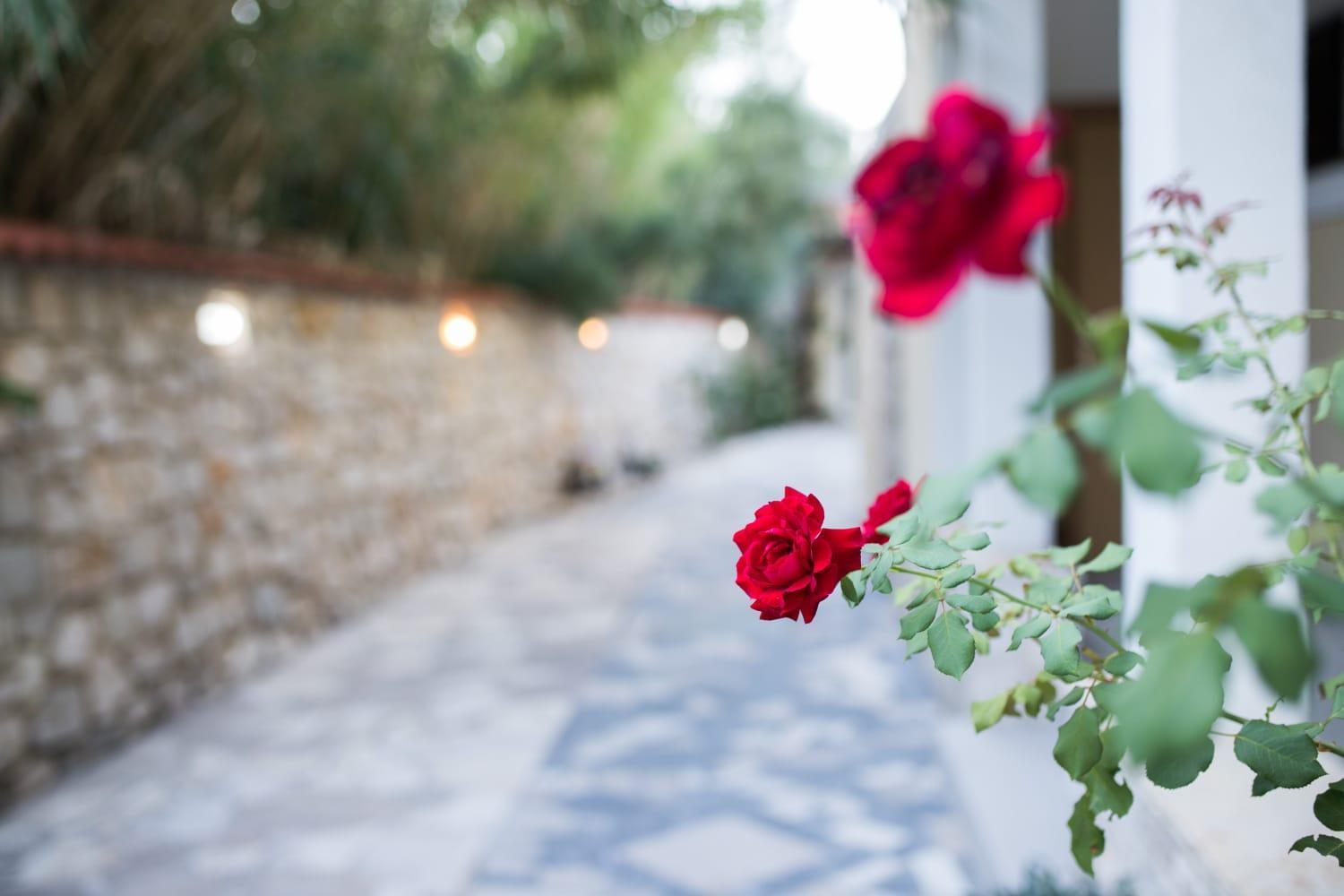 Mb Pag Bed&Breakfast Pag Town Esterno foto